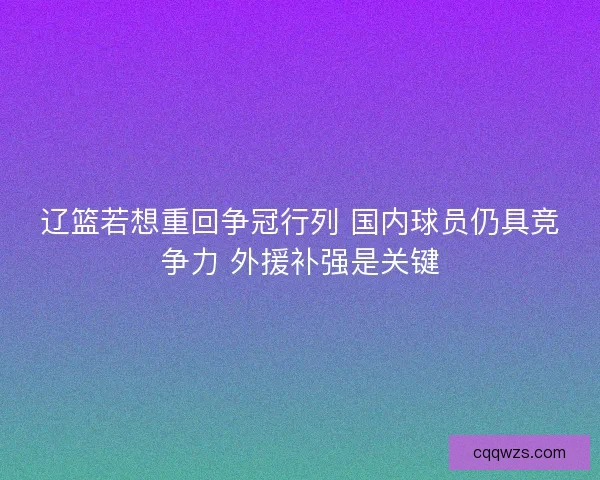 辽篮若想重回争冠行列 国内球员仍具竞争力 外援补强是关键